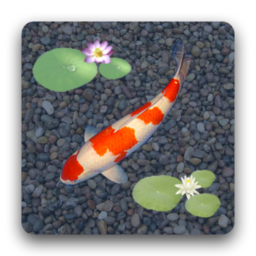 Anipet Koi Live Wallpaper Google Play 應用程式