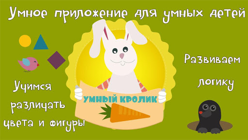 Предварительный просмотр приложения