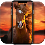 Cover Image of Скачать HORSE wallpapers  APK