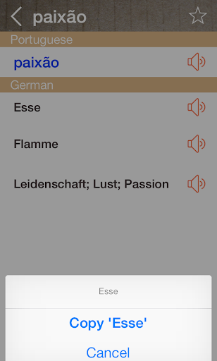 German Portuguese Dictionary Screen 3