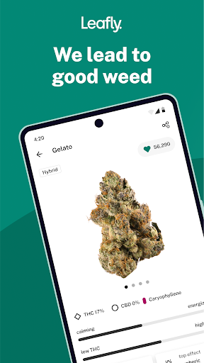 Leafly: Find Cannabis and CBD 1