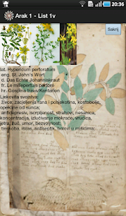 Voynich manuscript Screenshot