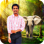 Forest photo frame editor