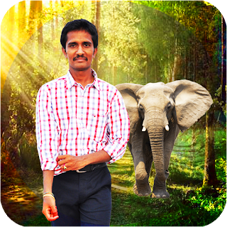 Forest photo frame editor