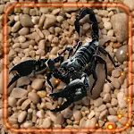 Cover Image of Download Scorpions Danger  APK