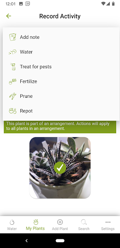 Succulent Tracker Screen 3