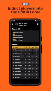 Basketball Legacy Manager 25