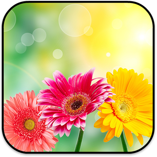 New Flowers Wallpapers 2017 1.0 Icon
