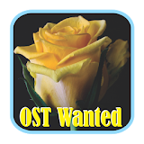 OST Wanted icon