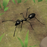 Ant Empire Simulator icon