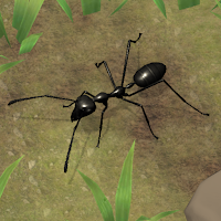 Ant Empire Simulator