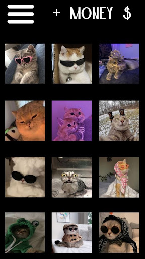 Cats clicker Screen 2