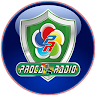 Proca Radio