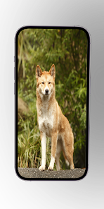 Imágen 6 Perros salvajes/africanos android