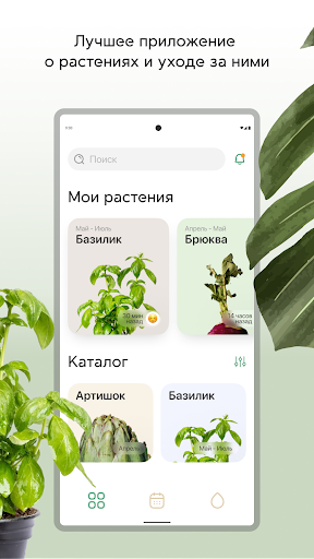 Android application PlantPush - Растения. Забота. screenshort