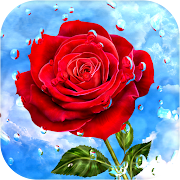 Flowers & Roses GIF  Icon