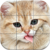 Kittens Tile Puzzle icon