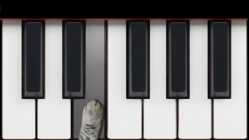 Cat Piano Memory Game Screen 2