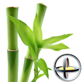 Bamboo Plant Yau 3D Parallax icon