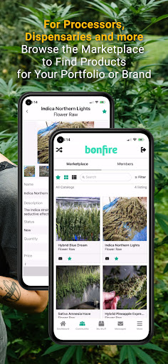 OneBonfire: Cannabis Markets Screen 3