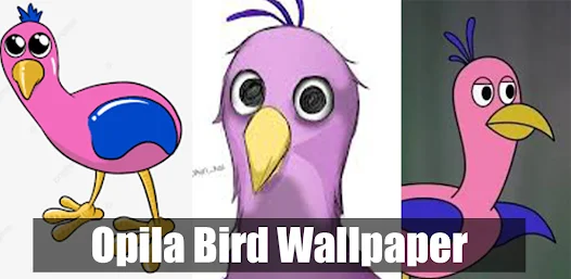 Opila Bird Wallpapers 4K HD - Apps on Google Play