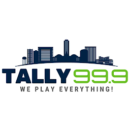 Tally 99.9: Download & Review