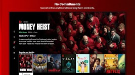 screenshot of Netflix