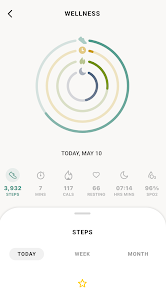 Skagen connected app 2025