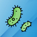 Herunterladen Bacteria Installieren Sie Neueste APK Downloader