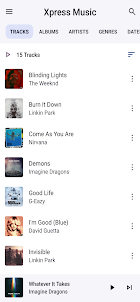 Xpress Music Player