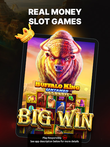 KnightSlots Casino: Slot Games screenshot 9