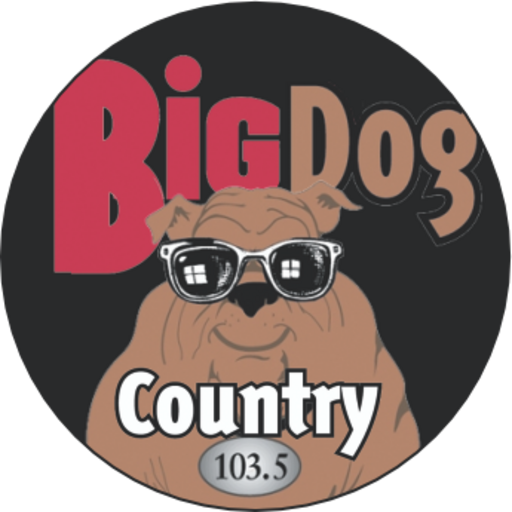 Big Dog 1035 logo