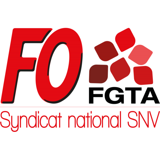 FO SNV 1.0 Icon