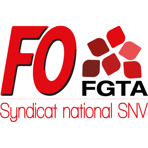 FO SNV Windowsでダウンロード