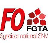 FO SNV icon