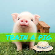 Top 45 Entertainment Apps Like How to Train a Pig - Best Alternatives