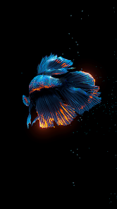 Captura de Pantalla 10 BETTA 120HZ android