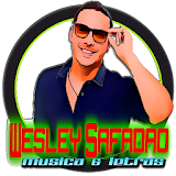 Wesley Safadão Música Forró + Letras 2017 icon