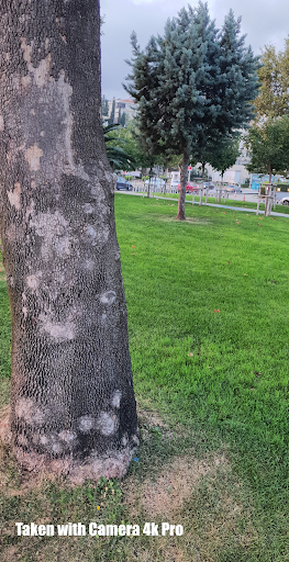 Camera 4K Pro - Perfect Photo