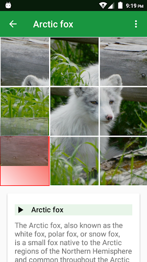 Dogs Puzzle Screen 2