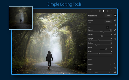 Adobe Lightroom - Photo Editor & Pro Camera  screenshots 9