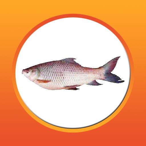 আধুনিক পদ্ধতিতে মাছ চাষ logo