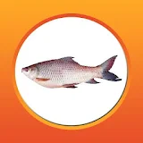 আধুনঠক পদ্ধতঠতে মাছ চাষ - Fish Farming icon