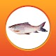 আধুনিক পদ্ধতিতে মাছ চাষ - Fish Farming Windowsでダウンロード