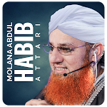 Cover Image of Download Maulana Abdul Habib Attari  APK