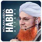 Maulana Abdul Habib Attari - Islamic Scholar icon