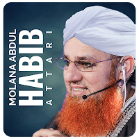 Maulana Abdul Habib Attari - Islamic Scholar