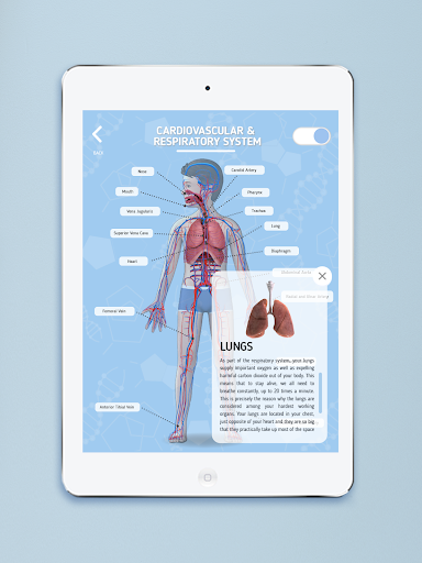 Screenshot of Humanoid 4D+