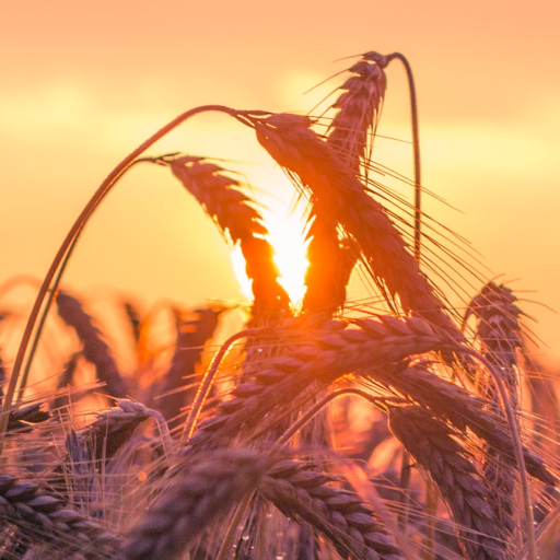 Farming Wallpapers logo