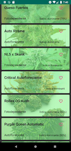 Hierbapedia Pro - Weed Screen 2